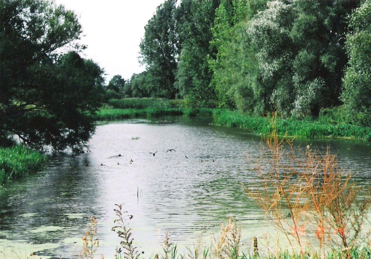 Star Camp Cosa, Ferienwohnungen, Camping, Schlaffaesser Friedland  外观 照片
